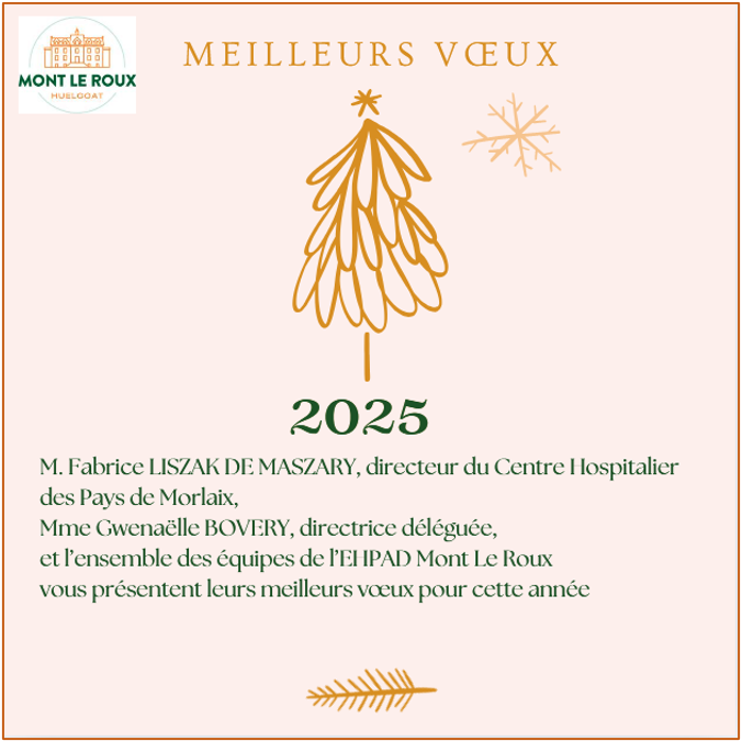 Lire la suite à propos de l’article Meilleurs vœux pour l’année 2025