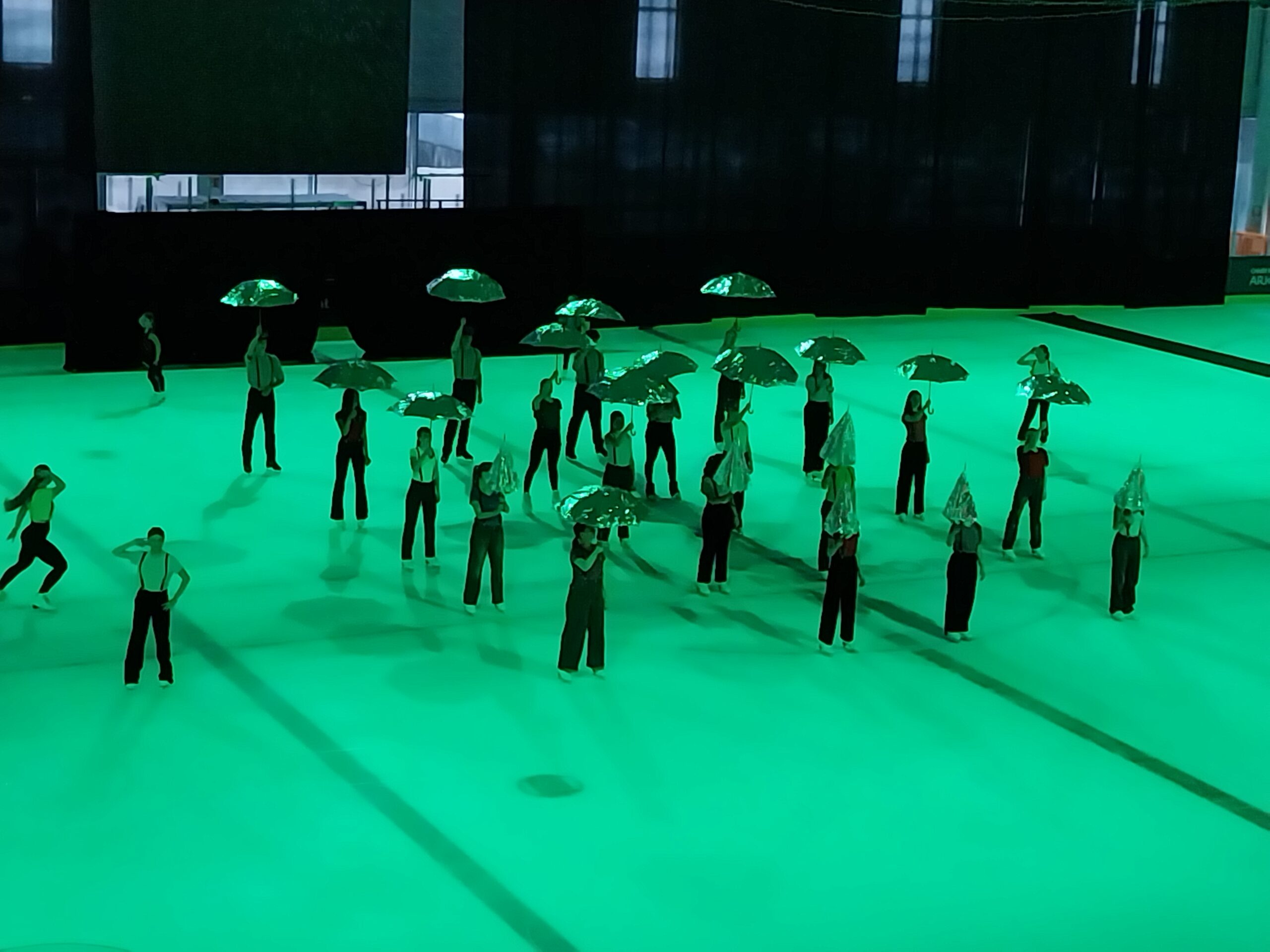 Lire la suite à propos de l’article Gala de patinage artistique